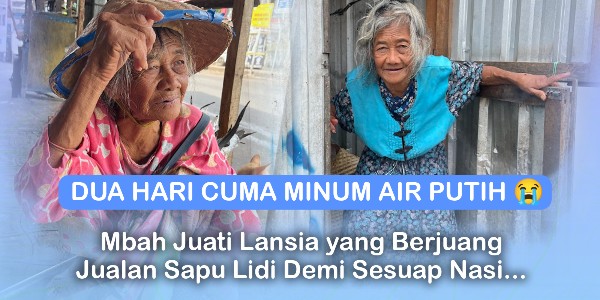Lansia 90 Tahun Tinggal di Kontainer Kumuh, Hanya Ditemani Kucing